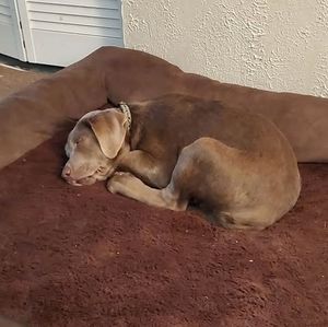 Meet your Posher, Andy